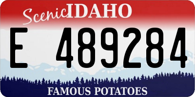 ID license plate E489284