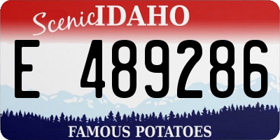 ID license plate E489286