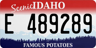 ID license plate E489289