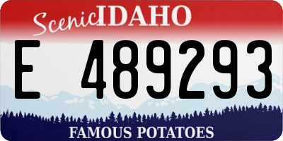 ID license plate E489293
