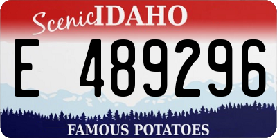 ID license plate E489296
