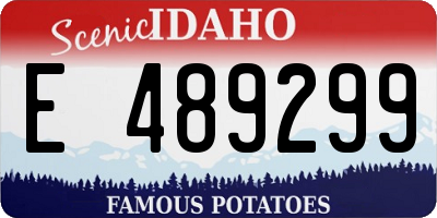 ID license plate E489299