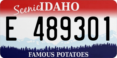 ID license plate E489301