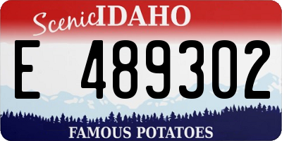 ID license plate E489302