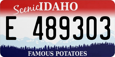 ID license plate E489303