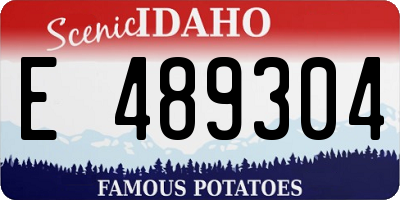 ID license plate E489304