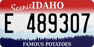 ID license plate E489307