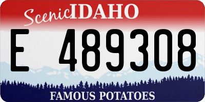 ID license plate E489308