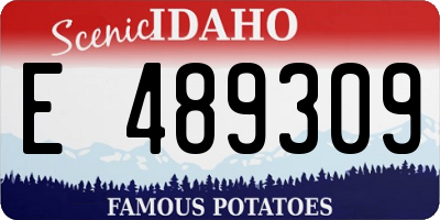 ID license plate E489309