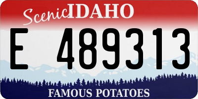 ID license plate E489313