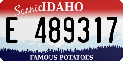 ID license plate E489317