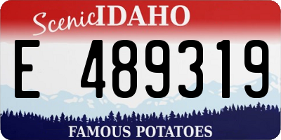 ID license plate E489319