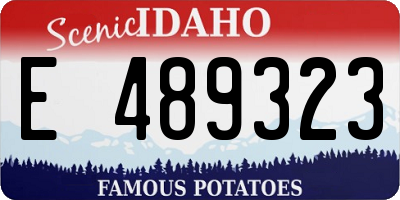 ID license plate E489323