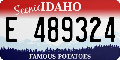 ID license plate E489324