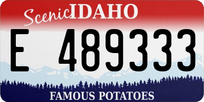 ID license plate E489333