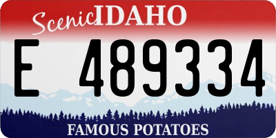 ID license plate E489334
