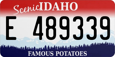 ID license plate E489339