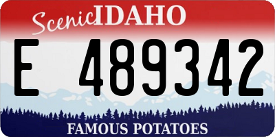 ID license plate E489342