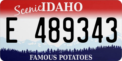 ID license plate E489343