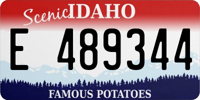 ID license plate E489344