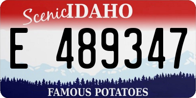 ID license plate E489347