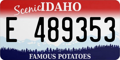ID license plate E489353