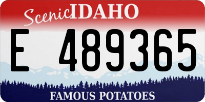 ID license plate E489365