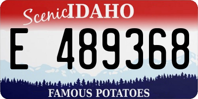 ID license plate E489368