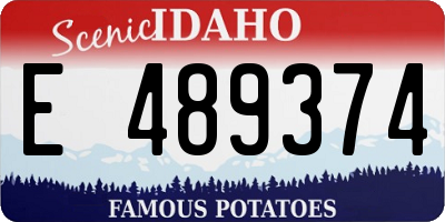 ID license plate E489374