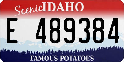 ID license plate E489384