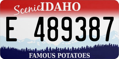 ID license plate E489387