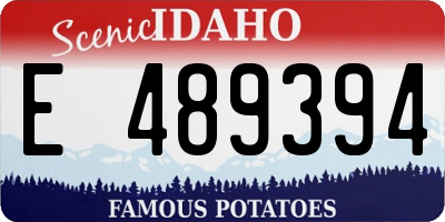 ID license plate E489394