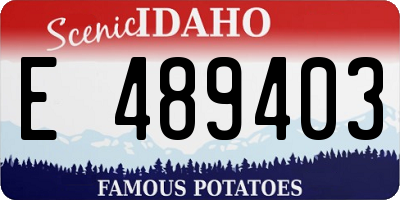 ID license plate E489403