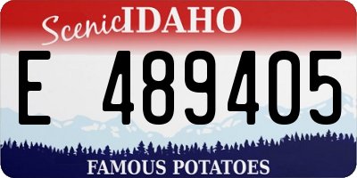 ID license plate E489405