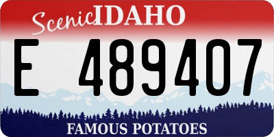 ID license plate E489407
