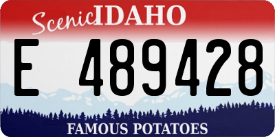 ID license plate E489428