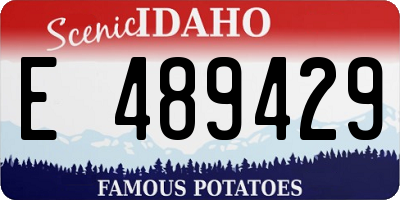 ID license plate E489429