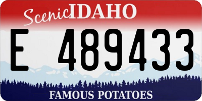 ID license plate E489433