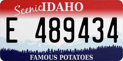 ID license plate E489434
