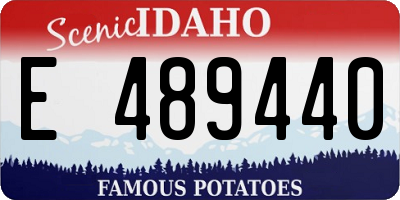 ID license plate E489440