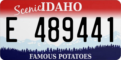 ID license plate E489441