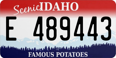 ID license plate E489443