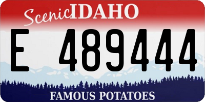 ID license plate E489444