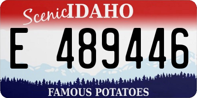 ID license plate E489446