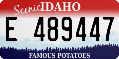 ID license plate E489447