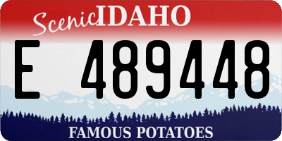 ID license plate E489448