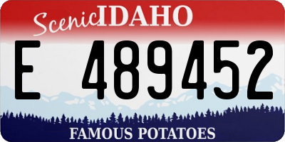 ID license plate E489452