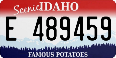 ID license plate E489459