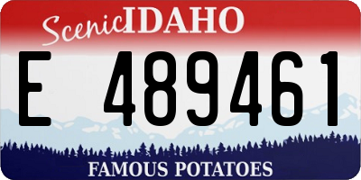 ID license plate E489461