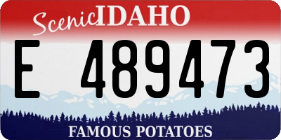ID license plate E489473
